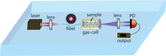 Develop smart, low-cost and energy-efficient fiber sensors