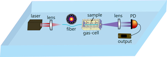 Develop smart, low-cost and energy-efficient fiber sensors